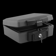 SentrySafe вогнестійкий та вологозахищений міні сейф (H0100CG) фото